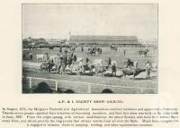 <span class="caption-caption">Agricultural, Pastoral and Industrial Society show ground, Gin Gin</span>. <br />From <span class="caption-book">The Burnett and Isis Pictorial</span>, <span class="caption-creator">Richards & Kingdon</span>, Bundaberg, 1927, collection of <span class="caption-contributor">Centre for the Government of Queensland</span>.
