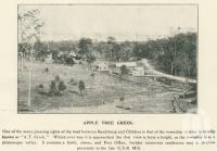<span class="caption-caption">Apple Tree Creek</span>. <br />From <span class="caption-book">The Burnett and Isis Pictorial</span>, <span class="caption-creator">Richards & Kingdon</span>, Bundaberg, 1927, collection of <span class="caption-contributor">Centre for the Government of Queensland</span>.