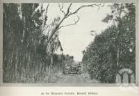 <span class="caption-caption">In the Kingaroy country, Burnett District</span>. <br />From <span class="caption-book">Australia Unlimited</span>, <span class="caption-creator">Edwin J Brady</span>, <span class="caption-publisher">George Robertson & Co</span>, Melbourne, 1918, collection of <span class="caption-contributor">Centre for the Government of Queensland</span>.