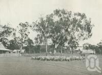 <span class="caption-caption">Sheep on a farm near Warwick</span>. <br />From <span class="caption-book">Australia Unlimited</span>, <span class="caption-creator">Edwin J Brady</span>, <span class="caption-publisher">George Robertson & Co</span>, Melbourne, 1918, collection of <span class="caption-contributor">Centre for the Government of Queensland</span>.