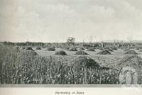 <span class="caption-caption">Harvesting at Roma</span>. <br />From <span class="caption-book">Australia Unlimited</span>, <span class="caption-creator">Edwin J Brady</span>, <span class="caption-publisher">George Robertson & Co</span>, Melbourne, 1918, collection of <span class="caption-contributor">Centre for the Government of Queensland</span>.