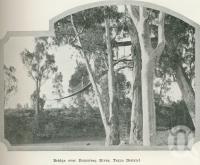 <span class="caption-caption">Bridge over Dumaresq River, Texas district</span>. <br />From <span class="caption-book">Australia Unlimited</span>, <span class="caption-creator">Edwin J Brady</span>, <span class="caption-publisher">George Robertson & Co</span>, Melbourne, 1918, collection of <span class="caption-contributor">Centre for the Government of Queensland</span>.