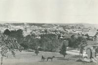 <span class="caption-caption">Ipswich</span>. <br />From <span class="caption-book">Australia Unlimited</span>, <span class="caption-creator">Edwin J Brady</span>, <span class="caption-publisher">George Robertson & Co</span>, Melbourne, 1918, collection of <span class="caption-contributor">Centre for the Government of Queensland</span>.