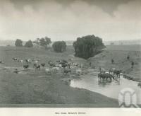 <span class="caption-caption">Emu Creek, Killarney district</span>. <br />From <span class="caption-book">Australia Unlimited</span>, <span class="caption-creator">Edwin J Brady</span>, <span class="caption-publisher">George Robertson & Co</span>, Melbourne, 1918, collection of <span class="caption-contributor">Centre for the Government of Queensland</span>.