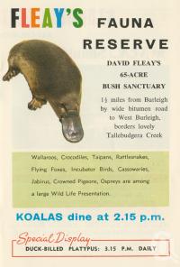 <span class="caption-caption">Fleay's Fauna Reserve</span>. <br />From <span class="caption-book">Gold Coast Attractions</span>, 1967, collection of <span class="caption-contributor">Centre for the Government of Queensland</span>.