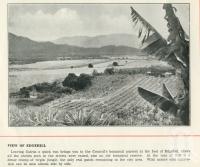 <span class="caption-caption">View of Edgehill (Edge Hill)</span>. <br />From <span class="caption-book">Cairns North Queensland</span>, Cairns, c1934, collection of <span class="caption-contributor">Centre for the Government of Queensland</span>.