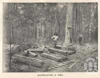 <span class="caption-caption">Sleeper-getter at work, Blackall Range</span>. <br />From <span class="caption-book">Queensland Agricultural Journal</span>, 1900, collection of <span class="caption-contributor">Fryer Library, UQ</span>.