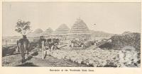 <span class="caption-caption">Haystacks at the Westbrook State farm</span>. <br />From <span class="caption-book">Queensland Agricultural Journal</span>, 1900, collection of <span class="caption-contributor">Fryer Library, UQ</span>.