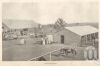 <span class="caption-caption">Gindie State farm</span>. <br />From <span class="caption-book">Queensland Agricultural Journal</span>, 1901, collection of <span class="caption-contributor">Fryer Library, UQ</span>.