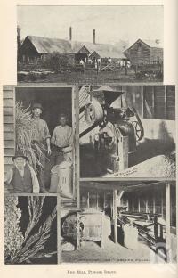 <span class="caption-caption">Rice mill, Pimpama Island</span>. <br />From <span class="caption-book">Queensland Agricultural Journal</span>, 1901, collection of <span class="caption-contributor">Fryer Library, UQ</span>.