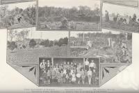 <span class="caption-caption">Provisional Schoool Mapleton</span>. <br />From <span class="caption-book">Queensland Agricultural Journal</span>, 1903, collection of <span class="caption-contributor">Fryer Library, UQ</span>.