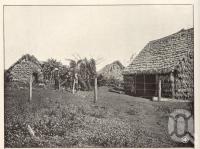 <span class="caption-caption">Kanaka' Huts, Farnbro, Childers</span>. <br />From <span class="caption-book">Queensland Agricultural Journal</span>, 1904, collection of <span class="caption-contributor">Fryer Library, UQ</span>.