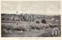 <span class="caption-caption">Woombye, a rural township on the North Coast Line</span>. <br />From <span class="caption-book">Queensland Agricultural Journal</span>, 1914, collection of <span class="caption-contributor">Fryer Library, UQ</span>.