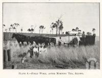 <span class="caption-caption">Field work, after morning tea, Allora</span>. <br />From <span class="caption-book">Queensland Agricultural Journal</span>, 1922, collection of <span class="caption-contributor">Fryer Library, UQ</span>.