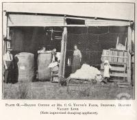 <span class="caption-caption">Baling cotton at Mr C.G. Young's farm, Deeford, Dawson Valley Line</span>. <br />From <span class="caption-book">Queensland Agricultural Journal</span>, 1922, collection of <span class="caption-contributor">Fryer Library, UQ</span>.