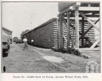 <span class="caption-caption">14,000 bags of FAQ, Allora Wheat Dump</span>. <br />From <span class="caption-book">Queensland Agricultural Journal</span>, 1922, collection of <span class="caption-contributor">Fryer Library, UQ</span>.