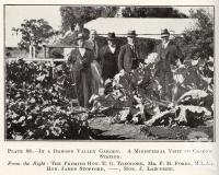 <span class="caption-caption">In a Dawson Valley garden. A ministerial visit to Cracow Station. The Premier Hon E.G. Theodore, Mr F.M. Forde, MLA, Hon James Stopford, Hon J. Larcombe</span>. <br />From <span class="caption-book">Queensland Agricultural Journal</span>, 1922, collection of <span class="caption-contributor">Fryer Library, UQ</span>.
