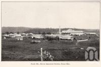 <span class="caption-caption">South Johnstone Central Sugar Mill</span>. <br />From <span class="caption-book">Queensland Agricultural Journal</span>, 1923, collection of <span class="caption-contributor">Fryer Library, UQ</span>.