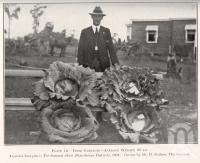 <span class="caption-caption">Prize cabbages, Stanthorpe district</span>. <br />From <span class="caption-book">Queensland Agricultural Journal</span>, 1924, collection of <span class="caption-contributor">Fryer Library, UQ</span>.