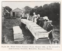 <span class="caption-caption">Citrus packing class at St Isodore's Agricultural College, Mapleton, Blackall Range</span>. <br />From <span class="caption-book">Queensland Agricultural Journal</span>, 1924, collection of <span class="caption-contributor">Fryer Library, UQ</span>.