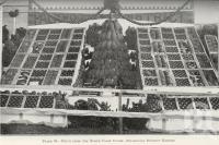 <span class="caption-caption">Fruit from the North Coast court, Palmwoods District exhibit</span>. <br />From <span class="caption-book">Queensland Agricultural Journal</span>, 1924, collection of <span class="caption-contributor">Fryer Library, UQ</span>.