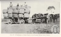 <span class="caption-caption">A consignment of cotton grown by the Charters Towers Cotton Company</span>. <br />From <span class="caption-book">Queensland Agricultural Journal</span>, 1925, collection of <span class="caption-contributor">Fryer Library, UQ</span>.