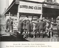 <span class="caption-caption">School Pig Club Competitions at the Nambour Show</span>. <br />From <span class="caption-book">Queensland Agricultural Journal</span>, 1925, collection of <span class="caption-contributor">Fryer Library, UQ</span>.