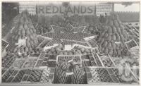 <span class="caption-caption">Fruit from the Redlands</span>. <br />From <span class="caption-book">Queensland Agricultural Journal</span>, 1925, collection of <span class="caption-contributor">Fryer Library, UQ</span>.