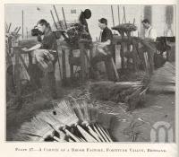 <span class="caption-caption">A corner of a broom factory, Fortitude Valley</span>. <br />From <span class="caption-book">Queensland Agricultural Journal</span>, 1927, collection of <span class="caption-contributor">Fryer Library, UQ</span>.