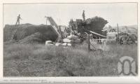 <span class="caption-caption">Threshing peanuts, Memerambi, Kingaroy</span>. <br />From <span class="caption-book">Queensland Agricultural Journal</span>, 1927, collection of <span class="caption-contributor">Fryer Library, UQ</span>.