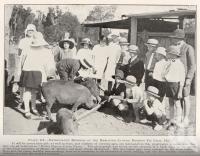 <span class="caption-caption">Enthusiastic members of the Merlwood-Cloyna District Pig Club</span>. <br />From <span class="caption-book">Queensland Agricultural Journal</span>, 1927, collection of <span class="caption-contributor">Fryer Library, UQ</span>.