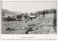 <span class="caption-caption">Pig shed and paddock accommodation on farm of C.C. Low, North Arm</span>. <br />From <span class="caption-book">Queensland Agricultural Journal</span>, 1930, collection of <span class="caption-contributor">Fryer Library, UQ</span>.
