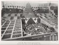 <span class="caption-caption">Fruit exhibit from Palmwoods</span>. <br />From <span class="caption-book">Queensland Agricultural Journal</span>, 1931, collection of <span class="caption-contributor">Fryer Library, UQ</span>.