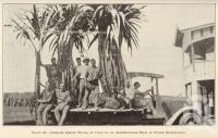 <span class="caption-caption">Italians taking stools of cane to an agricultural show in north Queensland</span>. <br />From <span class="caption-book">Queensland Agricultural Journal</span>, 1932, collection of <span class="caption-contributor">Fryer Library, UQ</span>.