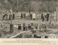 <span class="caption-caption">Layout of a tobacco grower's first home, Beerburrum</span>. <br />From <span class="caption-book">Queensland Agricultural Journal</span>, 1932, collection of <span class="caption-contributor">Fryer Library, UQ</span>.