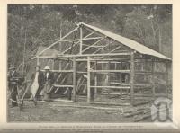 <span class="caption-caption">A settler's temporary home, Beerburum Tobacco Settlement</span>. <br />From <span class="caption-book">Queensland Agricultural Journal</span>, 1932, collection of <span class="caption-contributor">Fryer Library, UQ</span>.