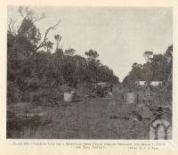 <span class="caption-caption">Clearing line for a marsupial-proof fence throuh Brigalow and Belah Scrub in the Tara District</span>. <br />From <span class="caption-book">Queensland Agricultural Journal</span>, 1934, collection of <span class="caption-contributor">Fryer Library, UQ</span>.