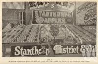 <span class="caption-caption">Stanthorpe apple exhibit</span>. <br />From <span class="caption-book">Queensland Agricultural Journal</span>, 1938, collection of <span class="caption-contributor">Fryer Library, UQ</span>.