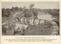 <span class="caption-caption">Tiaro Shire</span>. <br />From <span class="caption-book">Queensland Agricultural Journal</span>, 1933, collection of <span class="caption-contributor">Fryer Library, UQ</span>.
