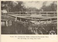 <span class="caption-caption">Caboolture Shire</span>. <br />From <span class="caption-book">Queensland Agricultural Journal</span>, 1933, collection of <span class="caption-contributor">Fryer Library, UQ</span>.