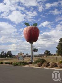 <span class="caption-caption">Big Apple, Stanthorpe</span>, 2009. <br />Digital image, collection of <span class="caption-contributor">Centre for the Government of Queensland MS</span>.
