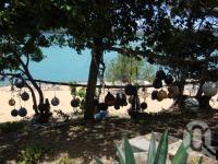 <span class="caption-caption">Friday Island, Kazu Pearl Farm</span>, 2009. <br />Digital image, collection of <span class="caption-contributor">Centre for the Government of Queensland MS</span>.