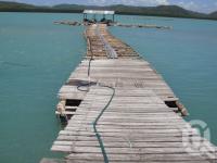 <span class="caption-caption">Friday Island, Kazu Pearl Farm</span>, 2009. <br />Digital image, collection of <span class="caption-contributor">Centre for the Government of Queensland MS</span>.