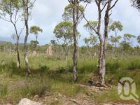 <span class="caption-caption">Prince of Wales Island</span>, 2009. <br />Digital image, collection of <span class="caption-contributor">Centre for the Government of Queensland MS</span>.