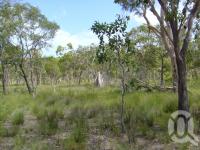 <span class="caption-caption">Prince of Wales Island</span>, 2009. <br />Digital image, collection of <span class="caption-contributor">Centre for the Government of Queensland MS</span>.
