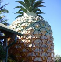 <span class="caption-caption">Big Pineapple</span>, 2009. <br />Digital image, collection of <span class="caption-contributor">Centre for the Government of Queensland MS</span>.