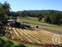 <span class="caption-caption">Big Pineapple plantation</span>, 2009. <br />Digital image, collection of <span class="caption-contributor">Centre for the Government of Queensland MS</span>.