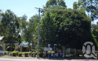 <span class="caption-caption">Dingo State School</span>, 2009. <br />Digital image, collection of <span class="caption-contributor">Centre for the Government of Queensland MS</span>.
