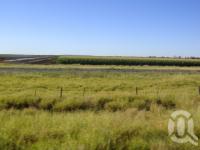 <span class="caption-caption">Sorghum fields</span>, 2009. <br />Digital image, collection of <span class="caption-contributor">Centre for the Government of Queensland MS</span>.