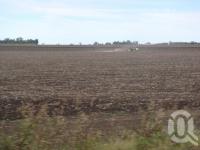 <span class="caption-caption">Sorghum fields, Emerald Shire</span>, 2009. <br />Digital image, collection of <span class="caption-contributor">Centre for the Government of Queensland MS</span>.